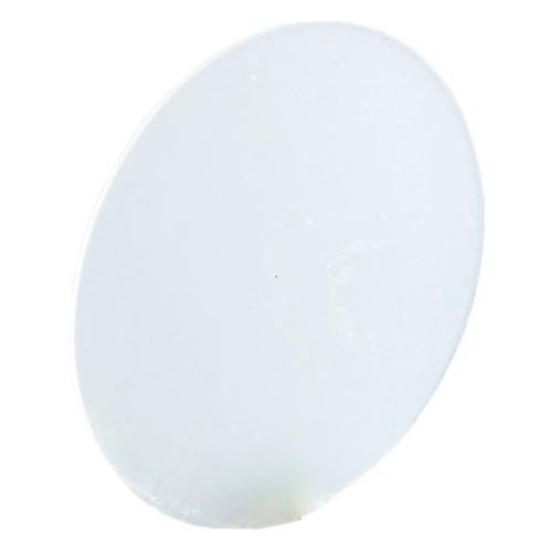 SM ZASLEPKA 1029.00.19 PLAST PG29