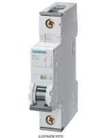 SIE 5SY4106-8 JISTIC 6D/1 10KA SIE 5SY4106-8 JISTIC 6D/1 10KA