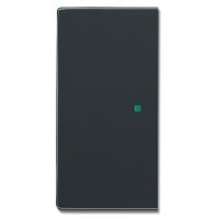 ABB FREE HOME 2CKA006220A0152 KRYT 2NÁSOBNÝ LEVÝ/PRAVÝ BEZ POTISKU ANTRACITOVÁ SR-2-81