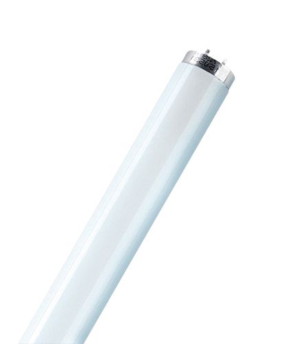 Philips 36W 48in T8 GREEN Fluorescent Tube TLD 36W/17