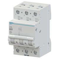 OEZ JISTIČ LTS-25B-3 10KA 42090