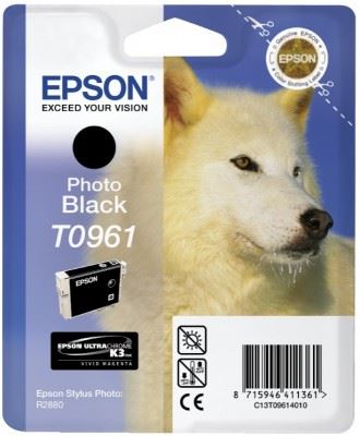 EPSON cartridge T0961 photo black (vlk)